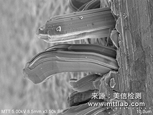 錫須觀察與測量