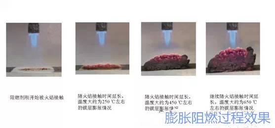 美信檢測