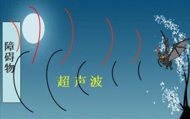 無(wú)損檢測(cè)
