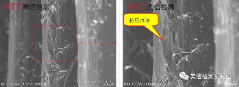 開裂端子螺母SEM圖片