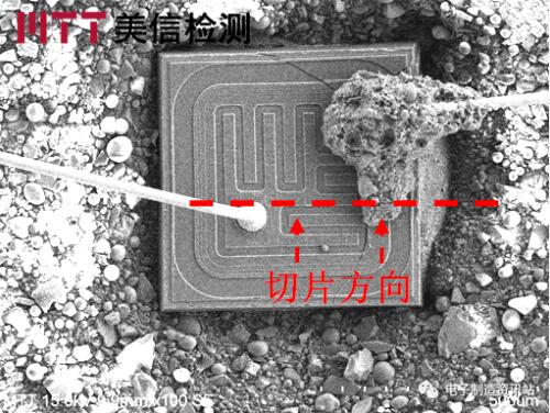 切片方向示意圖