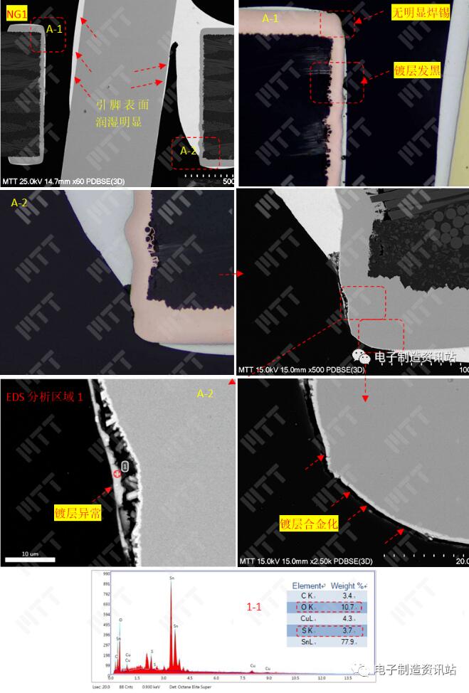 NG1 不良焊點切片后金相及SEM+EDS分析結果