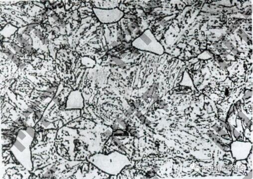 10Cr13，650 ℃回火，组织为回火索氏体＋铁素体